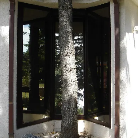 Appartamento Art Opacic Premantura