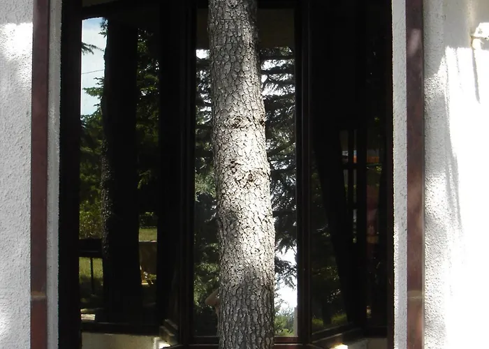 Appartamento Art Opacic Premantura